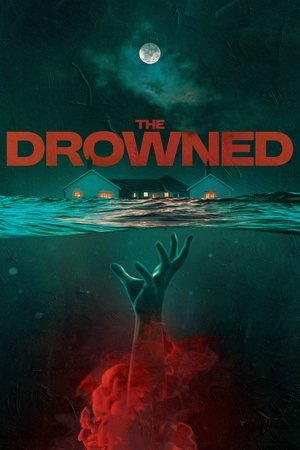 The Drowned (2023) Hindi (MULTI AUDIO) – –